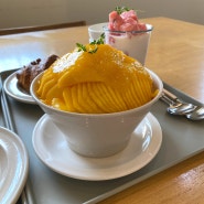 대구 빙수 맛집, 망고빙수 맛집인 : 달서구 카페 엠엔티