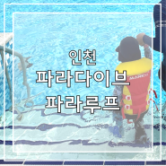 시흥 파라다이브 파라루프 미온수 야외수영장(준비물, 주차장, 매점, 매점메뉴)