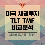 미국국채 투자 TLT TMF ETF 채권금리전망 배당금