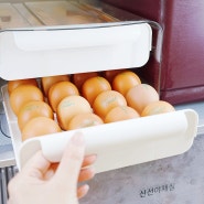 냉장고 계란트레이 30구 보관함과 보관방법, 난각 번호의 의미!