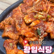 [광주 운림동 맛집] 제육볶음 애호박찌개 맛집 "광일식당"