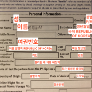 똑똑한 여행 3. 티웨이 TW0175 탑승 후기 필리핀 입국 신고서 서류 작성방법