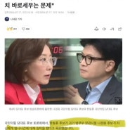 원희룡 당대표 유력, 한동훈 나경원 공소권 거래 혐의 낙마 예정