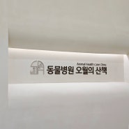 안양 동물병원 오월의산책 2살 강아지 건강검진
