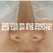 클렌징 오일이 피지 제거로 유명하다구요?