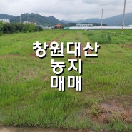 창원대산농지매매/대산면토지매매/소형평수농지매매/주말농장/농지원부/면적421py