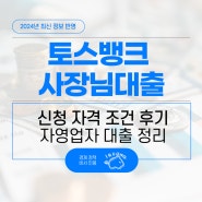 토스뱅크 사장님대출 대상 조건 한도 금리 신청 정리