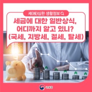 세금에 대한 일반상식, 어디까지 알고 있니? (국세,지방세 / 절세, 탈세)