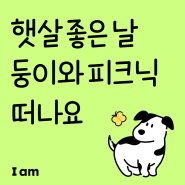 동물 캐릭터 카톡 테마와 폰트로 폰꾸하기🐶 | 귀여운 아이폰 폰트 | 무료 카카오톡 테마