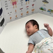 신생아 초점책 베어블리 아기병풍 한글 포스터 먹놀잠 하기