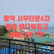 제주 조천읍 함덕리 서우6차 바다뷰최고 탑층 매매