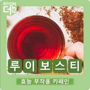 루이보스티 효능 카페인 부작용 많이 마셔도 되나