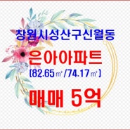 창원시 성산구 신월동 은아아파트 매매 5억(공급82.65㎡(25P)/전용74.17㎡)