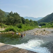 강원도 계곡캠핑 상우농장캠핑장 두가족사이트 후기