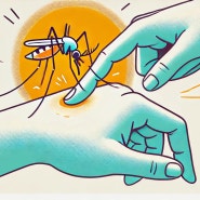 말라리아 모기 증상 치사율 예방약 치료