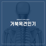 거북목견인기 선택의 기준은?