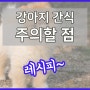 강아지간식 레시피 돼지고기 오리고기 소고기 주의사항