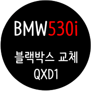 BMW 530i / 장착된 순정 블랙박스 고장으로 인한 교체 / 아이나비 QHD2채널 / QXD1 블랙박스로 교체 / 고급제품 저렴하게 장착해드렸어요 [일산 파주 운정 김포 고양]