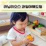 러닝리스소 과일야채도형 아기 과일장난감 돌이후 장난감 추천
