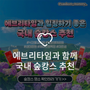 [여름 여행지 추천] 6월, 7월, 8월 여름철 국내 숲캉스 여행지