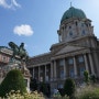 〔부다페스트〕 부다 왕궁(Buda Castle. Budavári Palota)(2)