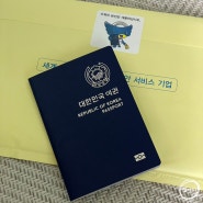 개명 후 군포시청에서 여권 재발급 받기, 준비물