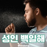 성인 백일해 증상 전염 검사 예방접종 치료 이렇게 하세요