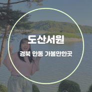 경북 안동 가볼만한곳 도산서원 입장료 시사단 이황