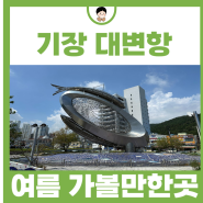 부산 여름 가볼만한곳 기장 갈만한곳 대변항 관광 추천