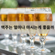 맥주는 얼마나 마시는게 좋을까? - 인천터미널정형외과, 신사터미널마취통증의학과