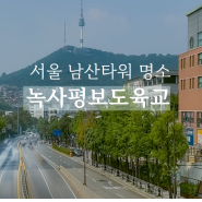 서울 남산타워 명소 녹사평보도육교