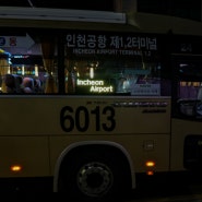 인천공항 군자 면목 건대 성수 리무진 6013번 버스 시간표 금액 탑승후기