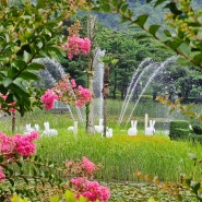 울산대공원 정문에서 남문 방향 산책 배롱나무 수국 정원 아쿠아시스 야외물놀이장 정보