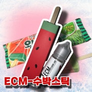 ECM-수박 스틱