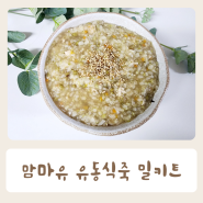 환자영양식 맘마유 성인 유동식 죽 밀키트