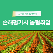 손해평가사 농협취업 대비 자격증 시험 합격정보