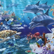 [질문수업] 바다에는 어떤 생물이 살까? - 질문 프로젝트 수업 4차시