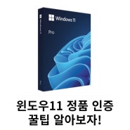 윈도우11 Pro 정품인증 제품키 저렴하게 구매하는 법 할인쿠폰 무료