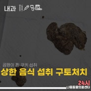 일산동구 24시동물병원 곰팡이가 생긴 초코쿠키를 먹었어요, 식중독 증상, 상한음식 주의!!