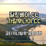 코타키나발루골프여행 달릿베이CC+가람부나이CC 고품격 2색패키지 소개!!