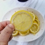 다양한 레몬 효능 우리 몸에 좋은 레몬청 레몬차 효능