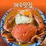 [제주맛집] 협재 해수욕장 황게카레맛집 ‘문쏘’ (서쪽코스 추천)