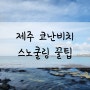 "제주 코난비치 스노쿨링 꿀팁 주차 샤워 제주 코난해변"