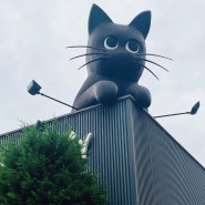 일본 오사카 | 샤노와르 Chat noir | 카페 추천 베이커리 메뉴 이색 고양이 디저트