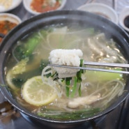 부산 자갈치 맛집 | 영도다리횟집 하모샤브샤브, 하모회