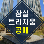 ◆일반 매물 '0개'◆ 송파구 잠실동 트리지움 43평 아파트 공매 【2015-052020-983】