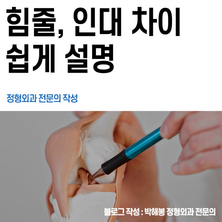 힘줄 끊어짐 vs 인대(건) 끊어짐 (vs 근육 회복기간 차이) 의사 설명 : 네이버 블로그