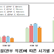 딸기작물 재배기술