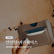 해외여행준비물 여행용지갑 RFID차단 끌리모아 여권케이스