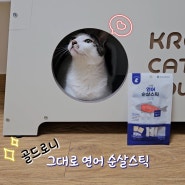 골드로니 그대로 순살스틱 저염 츄르 강아지 고양이 연어 스틱